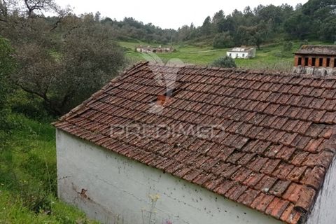 Byhus i Abrantes, Santarem, Abrantes - € 17.000 | Ref: 043737 - foto 24