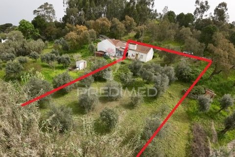 Byhus i Abrantes, Santarem, Abrantes - € 17.000 | Ref: 043737 - foto 27
