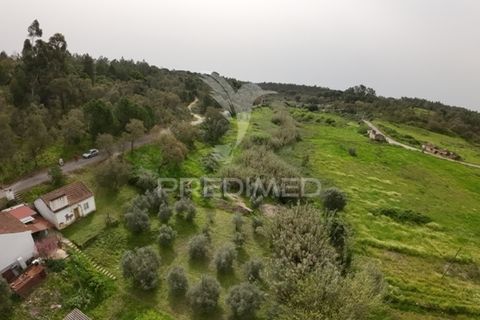 Byhus i Abrantes, Santarem, Abrantes - € 17.000 | Ref: 043737 - foto 29
