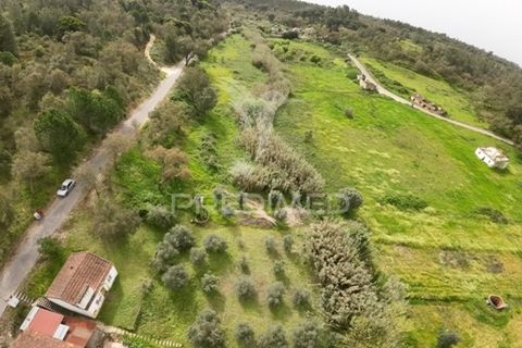 Byhus i Abrantes, Santarem, Abrantes - € 17.000 | Ref: 043737 - foto 30