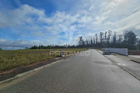 Terra a Penacova, Coimbra, Penacova - € 600.000 | Ref: 043940 - foto 4