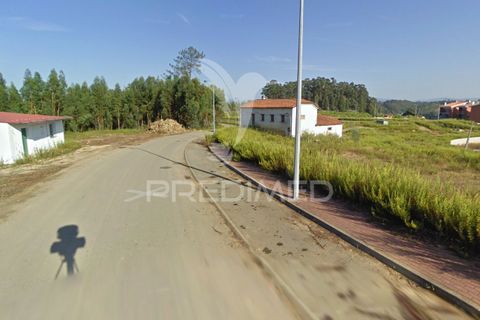 Terra a Penacova, Coimbra, Penacova - € 600.000 | Ref: 043940 - foto 6