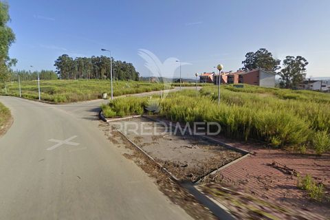 Terra a Penacova, Coimbra, Penacova - € 600.000 | Ref: 043940 - foto 7