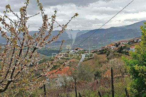Byhus i Lamego, Viseu, Lamego - € 100.000 | Ref: 044054 - foto 2