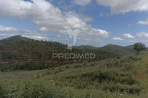 Helårsgrund i Monchique, Faro, Monchique - € 28.000 | Ref: 044583 - foto 1
