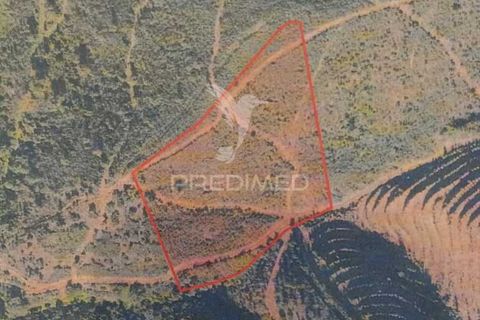 Helårsgrund i Monchique, Faro, Monchique - € 28.000 | Ref: 044583 - foto 2
