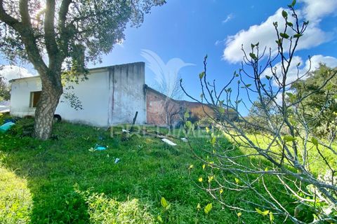 Byhus i Rio Maior, Santarem, Rio Maior - € 90.000 | Ref: 044859 - foto 1