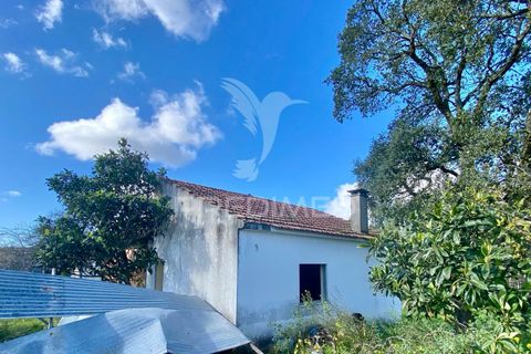 Byhus i Rio Maior, Santarem, Rio Maior - € 90.000 | Ref: 044859 - foto 2