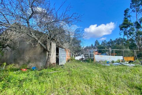 Byhus i Rio Maior, Santarem, Rio Maior - € 90.000 | Ref: 044859 - foto 3