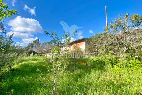 Byhus i Rio Maior, Santarem, Rio Maior - € 90.000 | Ref: 044859 - foto 4