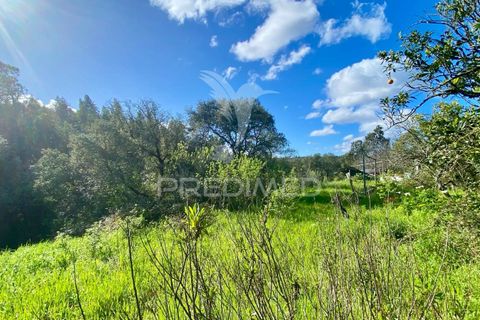 Byhus i Rio Maior, Santarem, Rio Maior - € 90.000 | Ref: 044859 - foto 5