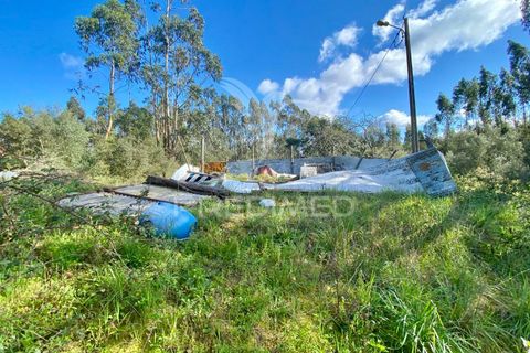 Byhus i Rio Maior, Santarem, Rio Maior - € 90.000 | Ref: 044859 - foto 6