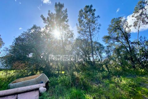 Byhus i Rio Maior, Santarem, Rio Maior - € 90.000 | Ref: 044859 - foto 8