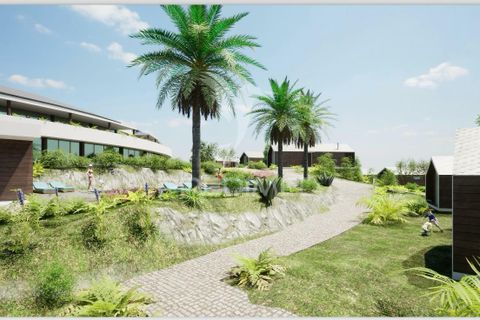 Helårsgrund i Calheta, Madeira, Calheta - € 1.250.000 | Ref: 045233 - foto 5
