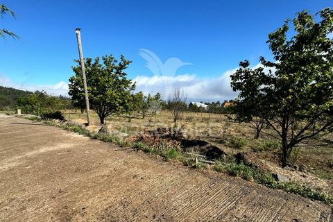 Helårsgrund i Calheta, Madeira, Calheta - € 1.250.000 | Ref: 045233 - foto 15