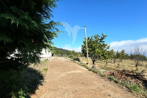 Helårsgrund i Calheta, Madeira, Calheta - € 1.250.000 | Ref: 045233 - foto 16