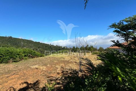 Helårsgrund i Calheta, Madeira, Calheta - € 1.250.000 | Ref: 045233 - foto 17