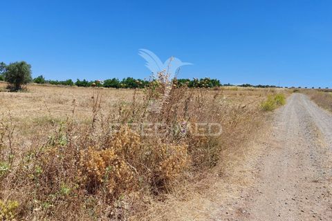 Helårsgrund i Beja, Beja, Beja - € 35.000 | Ref: 045417 - foto 1