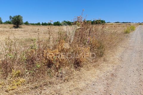 Helårsgrund i Beja, Beja, Beja - € 35.000 | Ref: 045417 - foto 4