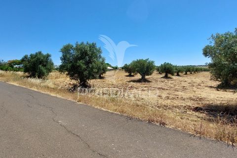 Helårsgrund i Beja, Beja, Beja - € 35.000 | Ref: 045417 - foto 5