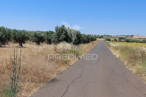 Helårsgrund i Beja, Beja, Beja - € 35.000 | Ref: 045417 - foto 7
