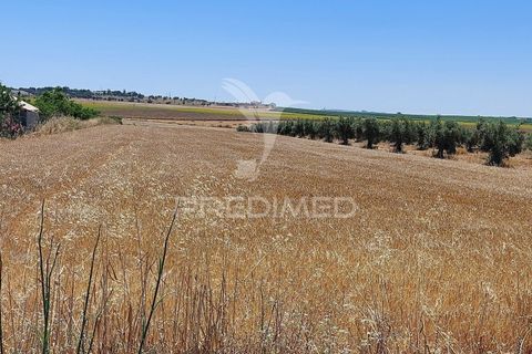 Helårsgrund i Beja, Beja, Beja - € 35.000 | Ref: 045417 - foto 9