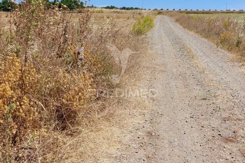 Helårsgrund i Beja, Beja, Beja - € 35.000 | Ref: 045417 - foto 13