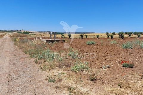 Helårsgrund i Beja, Beja, Beja - € 35.000 | Ref: 045417 - foto 16