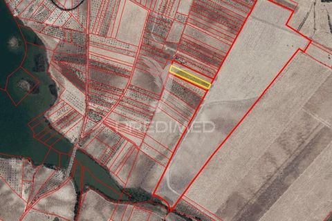 Helårsgrund i Beja, Beja, Beja - € 35.000 | Ref: 045417 - foto 20