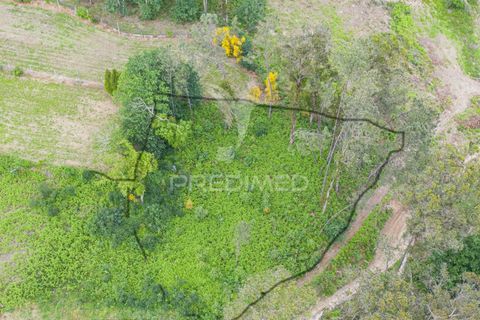 Helårsgrund i Vila Verde, Braga, Vila Verde - € 17.000 | Ref: 045517 - foto 2
