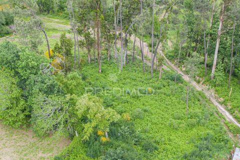 Helårsgrund i Vila Verde, Braga, Vila Verde - € 17.000 | Ref: 045517 - foto 3