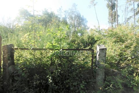 Helårsgrund i Vila Verde, Braga, Vila Verde - € 17.000 | Ref: 045517 - foto 7