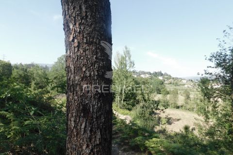 Helårsgrund i Vila Verde, Braga, Vila Verde - € 17.000 | Ref: 045517 - foto 8