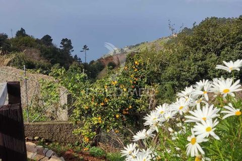 Byhus i Calheta, Madeira, Calheta - € 295.000 | Ref: 045552 - foto 5