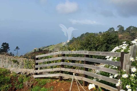 Byhus i Calheta, Madeira, Calheta - € 295.000 | Ref: 045552 - foto 6