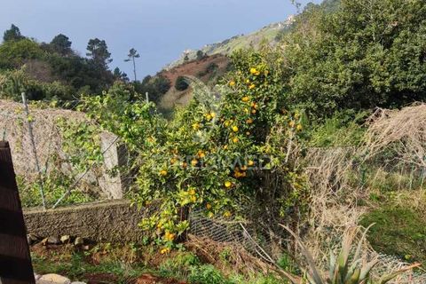 Byhus i Calheta, Madeira, Calheta - € 295.000 | Ref: 045552 - foto 9