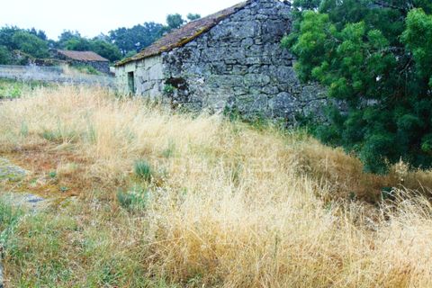Helårsgrund i Vila Real, Vila Real, Vila Real - € 45.000 | Ref: 045878 - foto 6