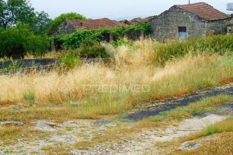 Helårsgrund i Vila Real, Vila Real, Vila Real - € 45.000 | Ref: 045878 - foto 12