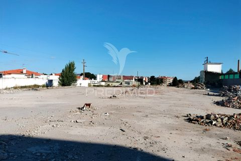 Helårsgrund i Entroncamento, Santarem, Entroncamento - € 550.000 | Ref: 045921 - foto 2