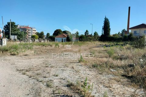 Helårsgrund i Entroncamento, Santarem, Entroncamento - € 550.000 | Ref: 045921 - foto 4