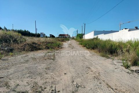 Helårsgrund i Entroncamento, Santarem, Entroncamento - € 550.000 | Ref: 045921 - foto 5