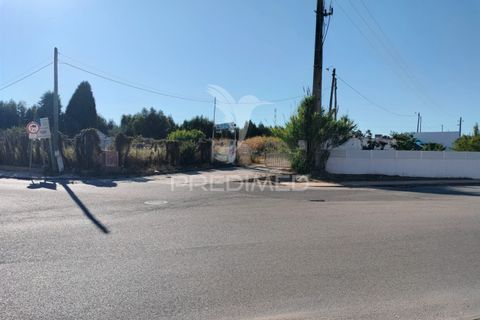 Helårsgrund i Entroncamento, Santarem, Entroncamento - € 550.000 | Ref: 045921 - foto 6