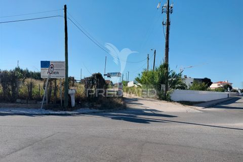 Helårsgrund i Entroncamento, Santarem, Entroncamento - € 550.000 | Ref: 045921 - foto 7