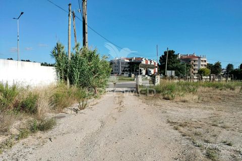 Helårsgrund i Entroncamento, Santarem, Entroncamento - € 550.000 | Ref: 045921 - foto 8