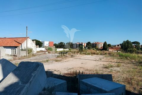 Helårsgrund i Entroncamento, Santarem, Entroncamento - € 550.000 | Ref: 045921 - foto 11