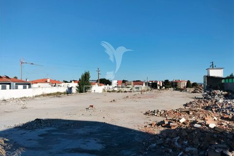Helårsgrund i Entroncamento, Santarem, Entroncamento - € 550.000 | Ref: 045921 - foto 15