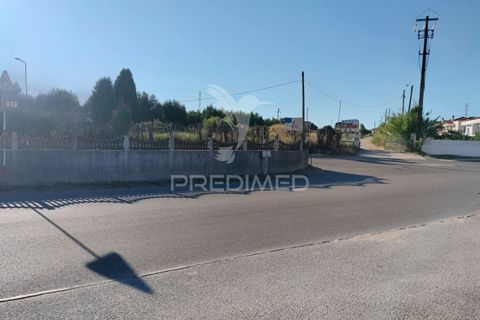 Helårsgrund i Entroncamento, Santarem, Entroncamento - € 550.000 | Ref: 045921 - foto 22