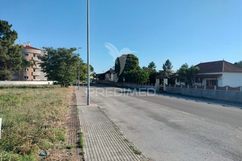 Helårsgrund i Entroncamento, Santarem, Entroncamento - € 550.000 | Ref: 045921 - foto 24