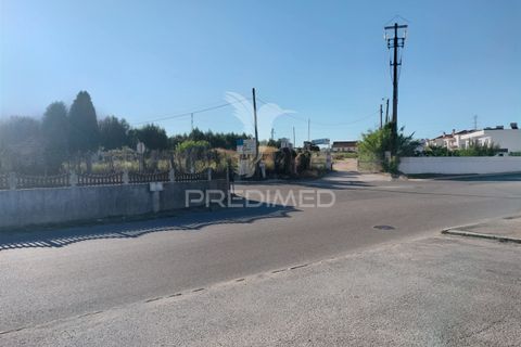 Helårsgrund i Entroncamento, Santarem, Entroncamento - € 550.000 | Ref: 045921 - foto 26