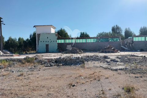 Helårsgrund i Entroncamento, Santarem, Entroncamento - € 550.000 | Ref: 045921 - foto 32